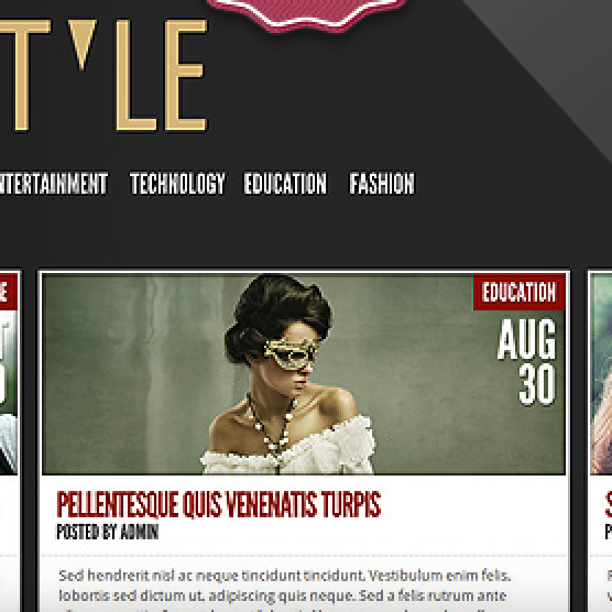TheStyle v4.1 – ElegantThemes WordPress Theme