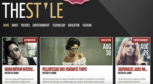 TheStyle v4.1 – ElegantThemes WordPress Theme