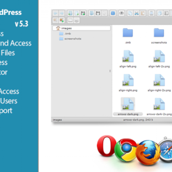 File Manager Plugin v5.3.3 CodeCanyon WordPress Plugin