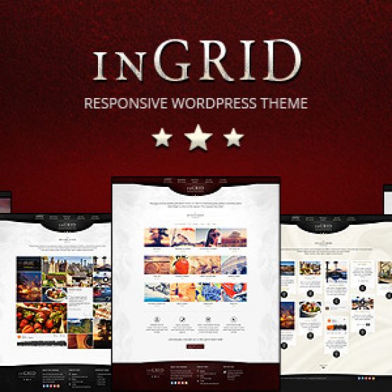 InGRID Responsive Multi-Purpose WordPress Theme v1.7