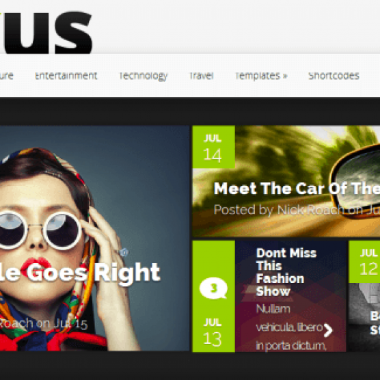 Nexus v1.6 – ElegantThemes WordPress Theme