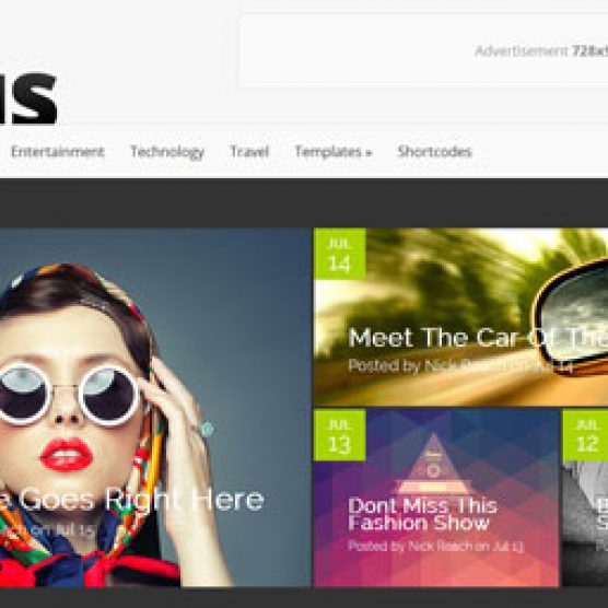 Nexus v1.3 - Elegantthemes Wordpress Theme
