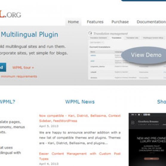 WPML Wordpress Multilingual Plugin v3.1.8
